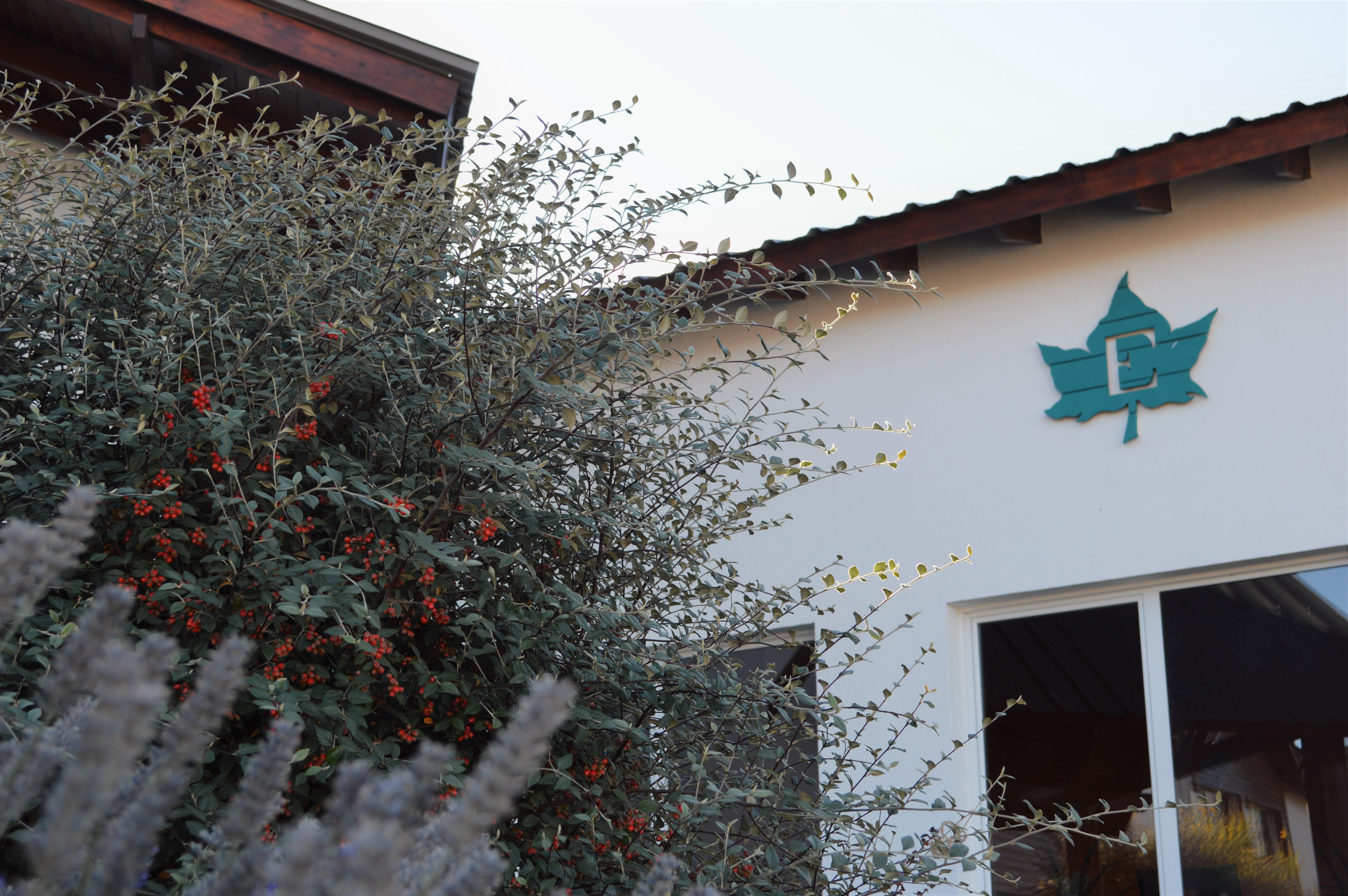 Edenia Hotel & Nature El Calafate Exterior photo